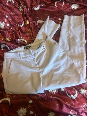 Express Light Lilac & black Dress Pants